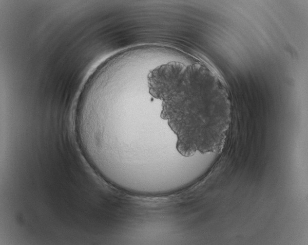 X0000116020972200912312150