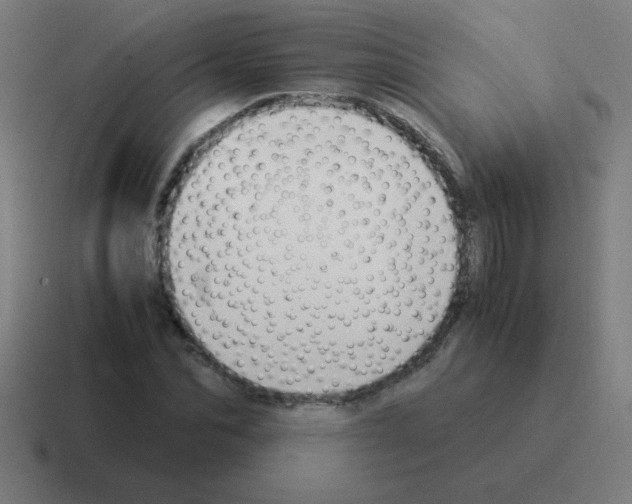 X0000116020974200912312149