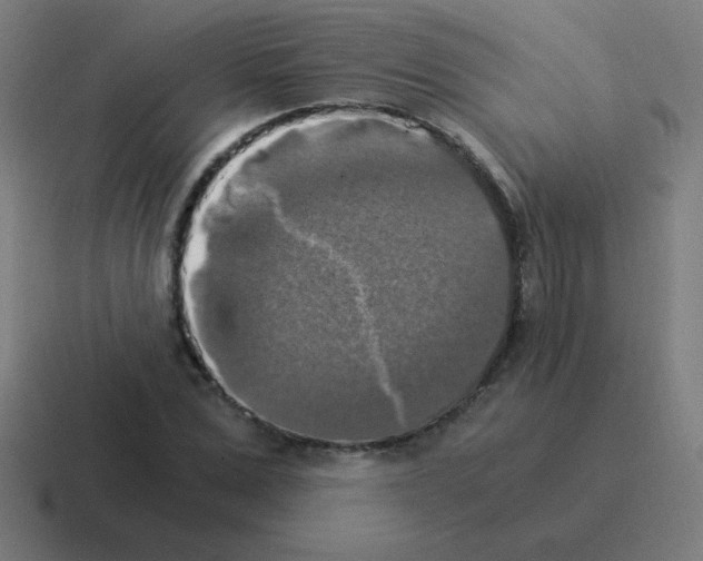 X0000116020975200912312149