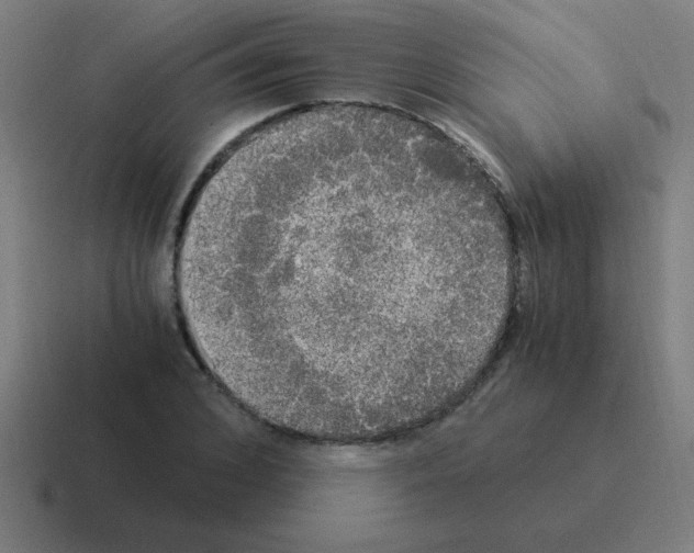 X0000116020976200912312149