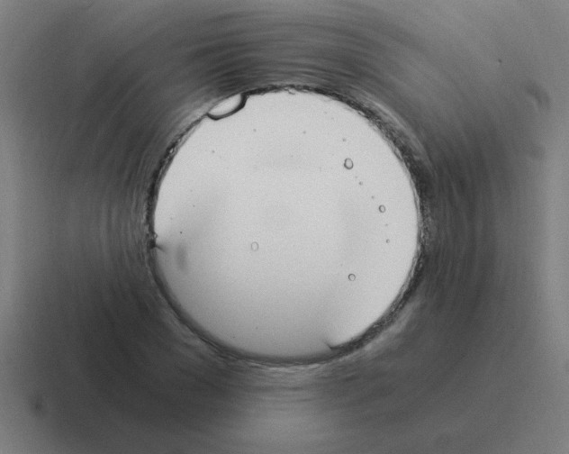 X0000116020977200912312149