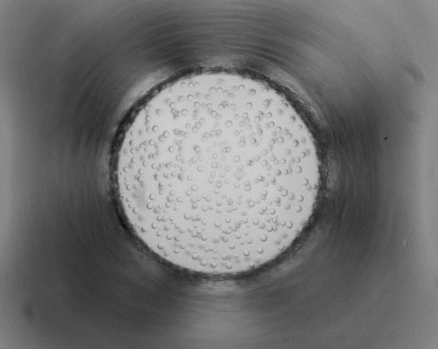 X0000116020978200912312149