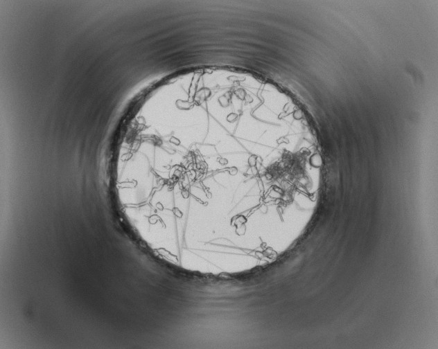 X0000116020979200912312149