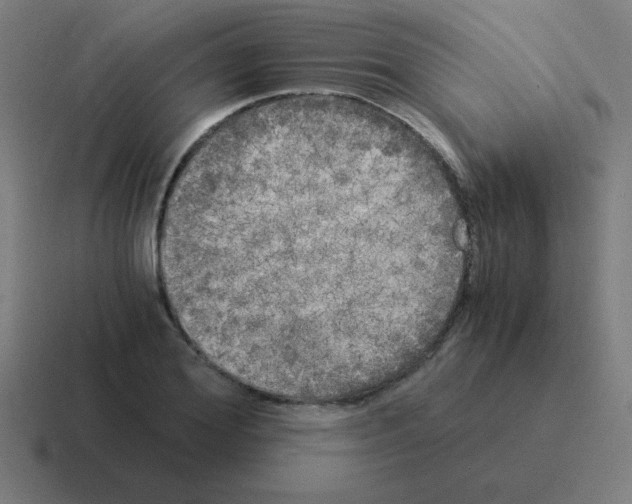 X0000116020980200912312149