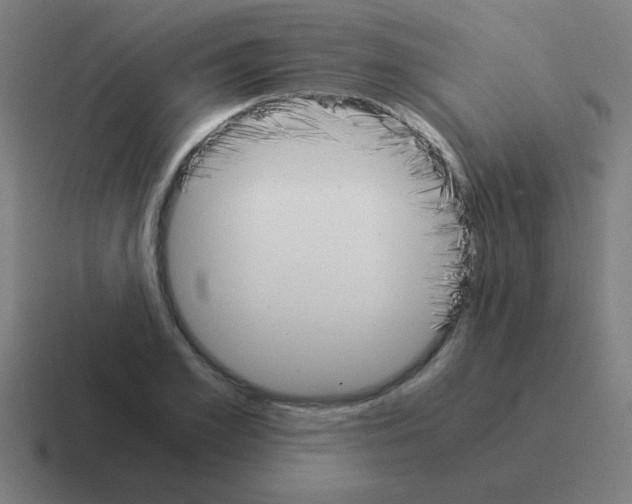 X0000116020981200912312149