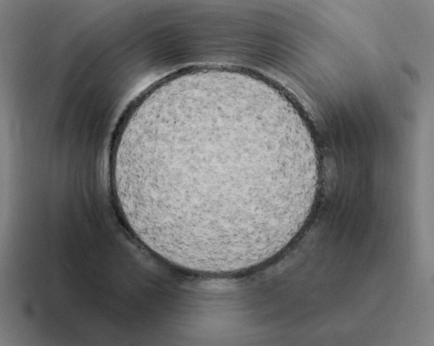 X0000116020982200912312149