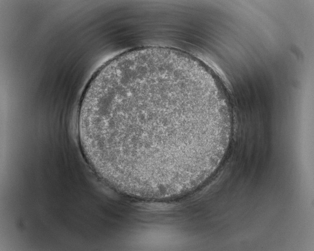 X0000116020984200912312149