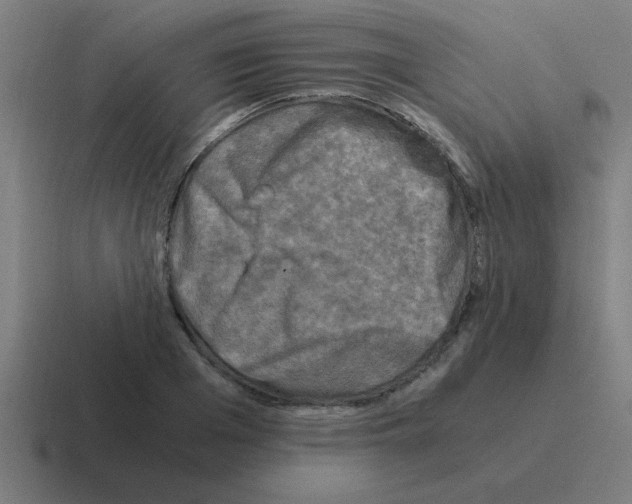 X0000116020985200912312149