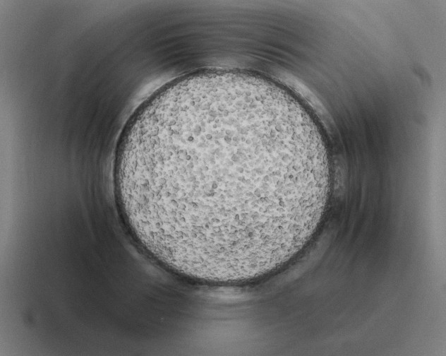 X0000116020986200912312149