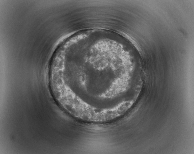 X0000116020987200912312149