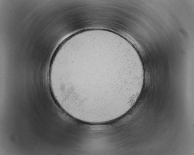 X0000116020988200912312149