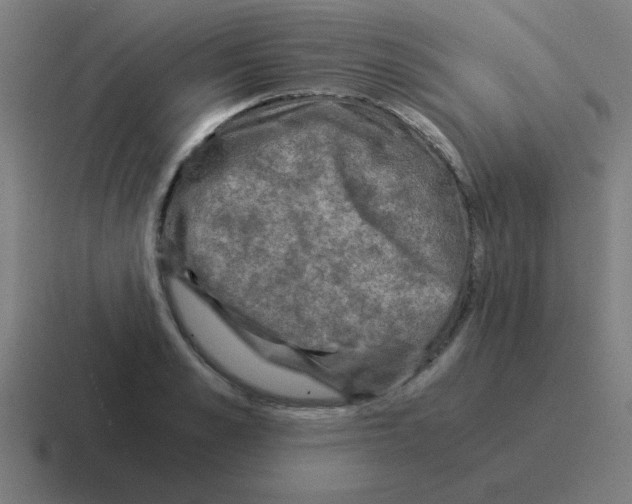 X0000116020989200912312149