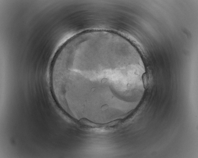 X0000116020990200912312149