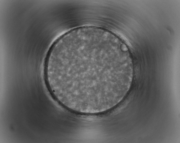 X0000116020991200912312149