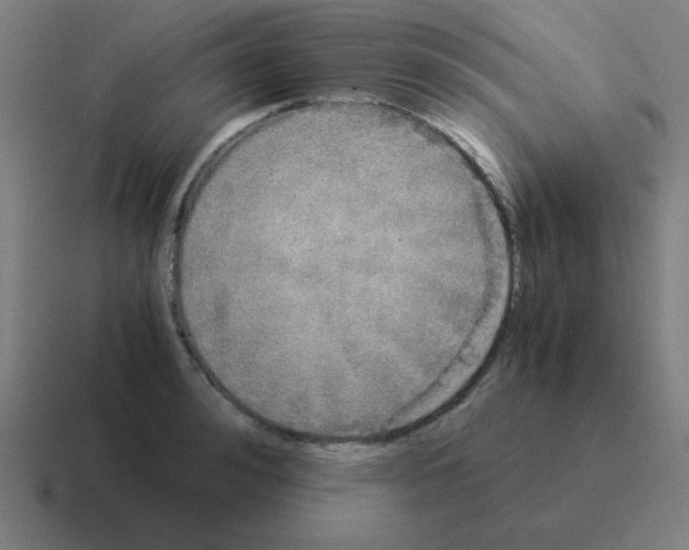 X0000116020992200912312149