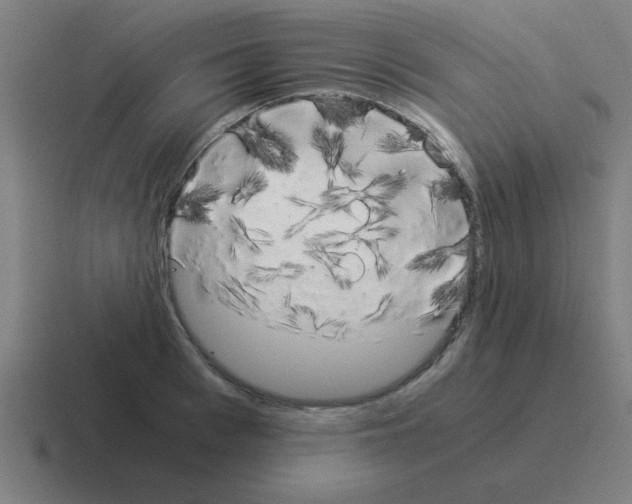 X0000116020993200912312149