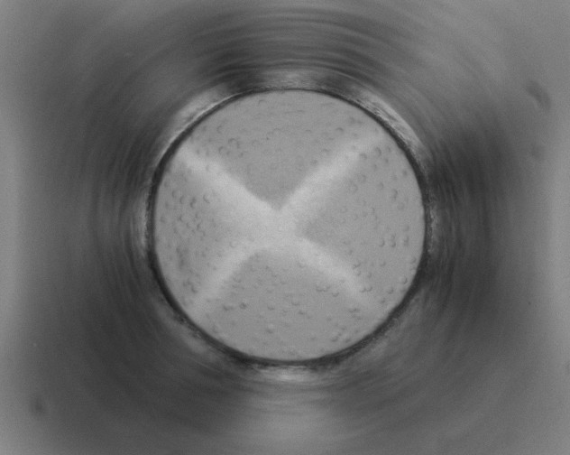 X0000116020994200912312149