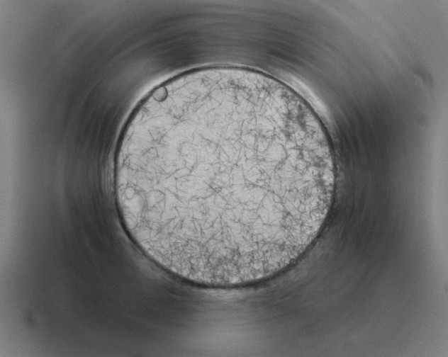 X0000116020996200912312149