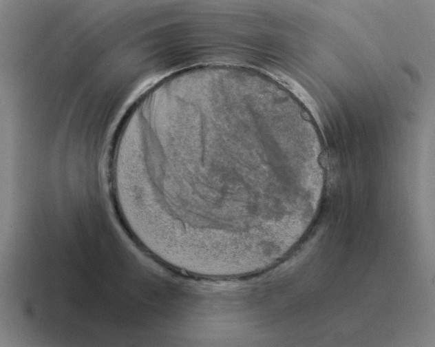 X0000116020997200912312149