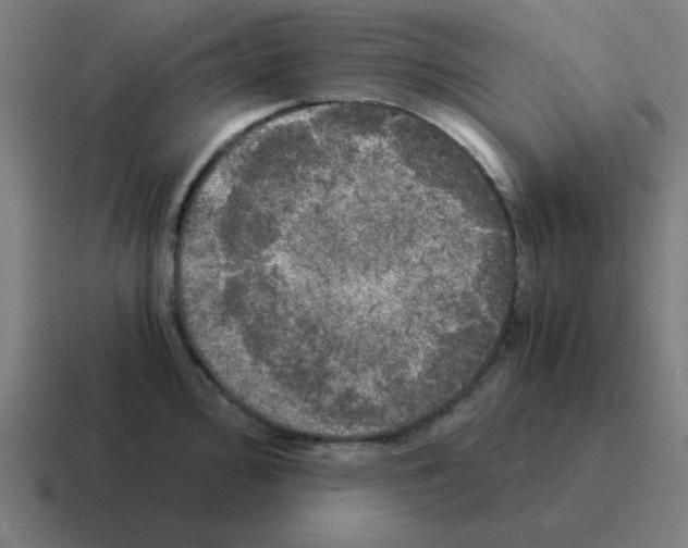 X0000116021000200912312149