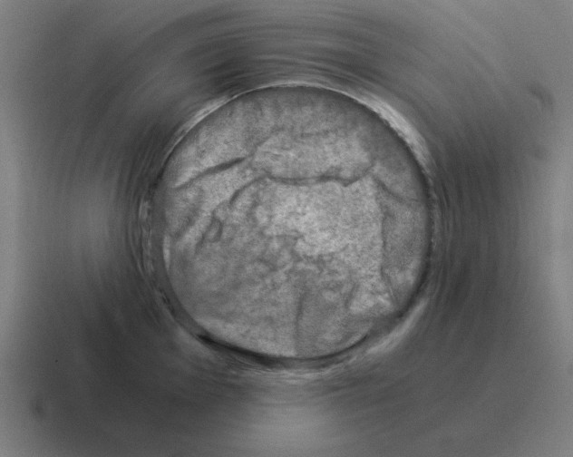 X0000116021001200912312149