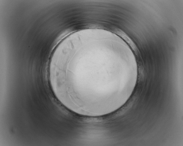 X0000116021002200912312149