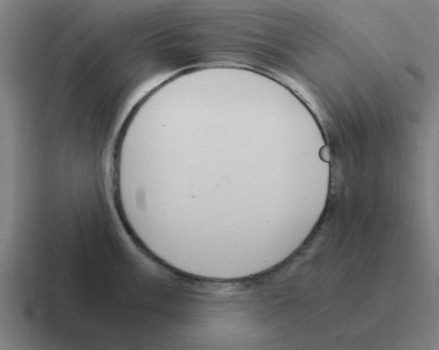 X0000116021003200912312149