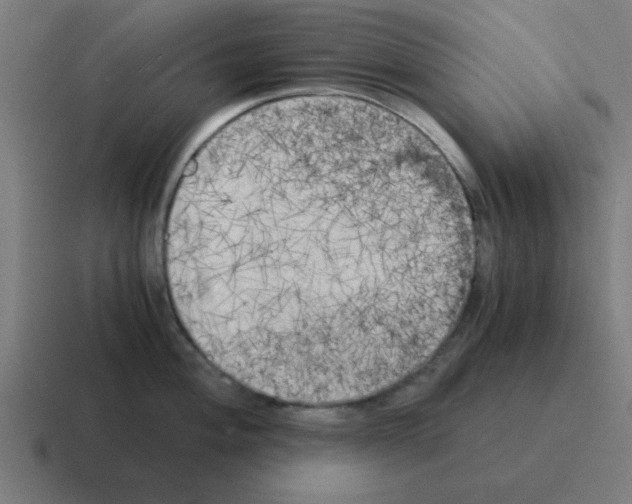 X0000116021004200912312149