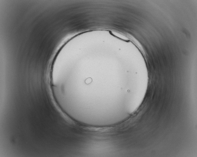 X0000116021005200912312149