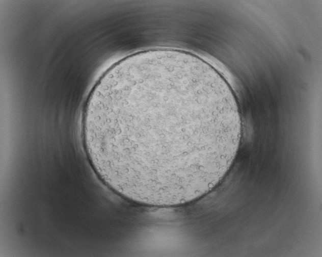 X0000116021006200912312149