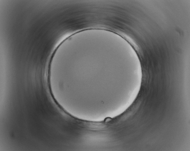 X0000116021007200912312149