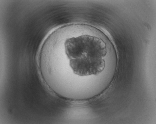 X0000116021008200912312149