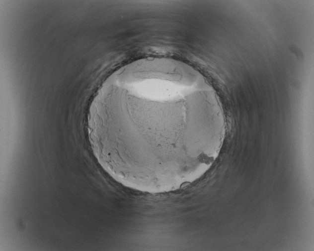 X0000116021009200912312148