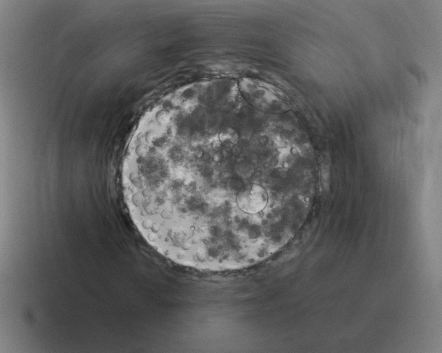 X0000116021010200912312148