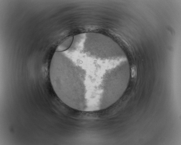 X0000116021011200912312148