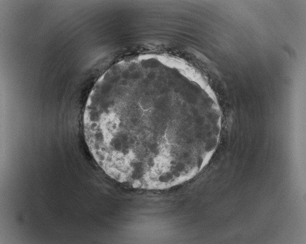 X0000116021014200912312149