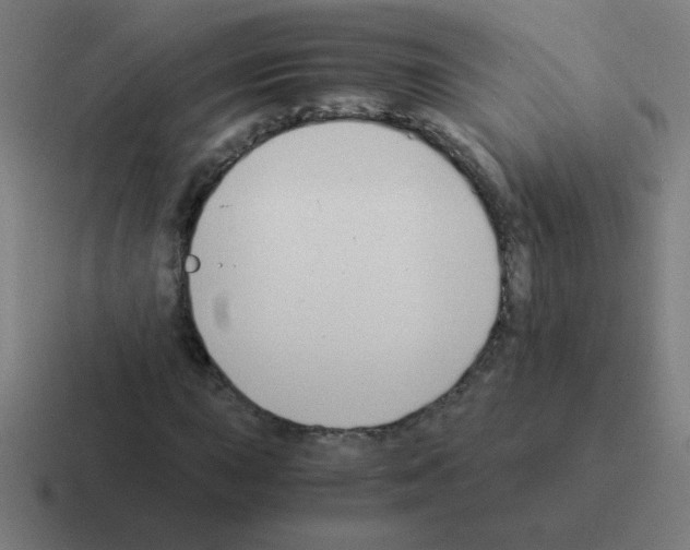 X0000116021015200912312149