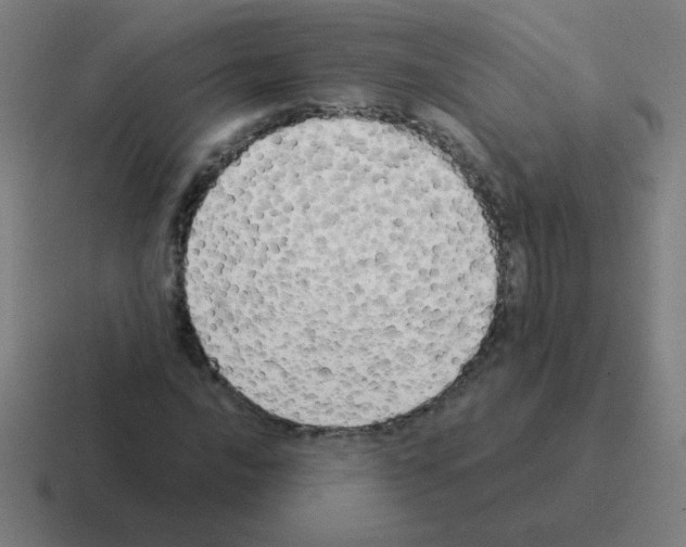 X0000116021016200912312149