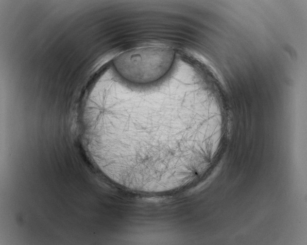 X0000116021017200912312149