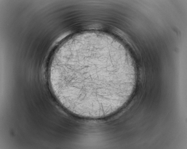 X0000116021018200912312149