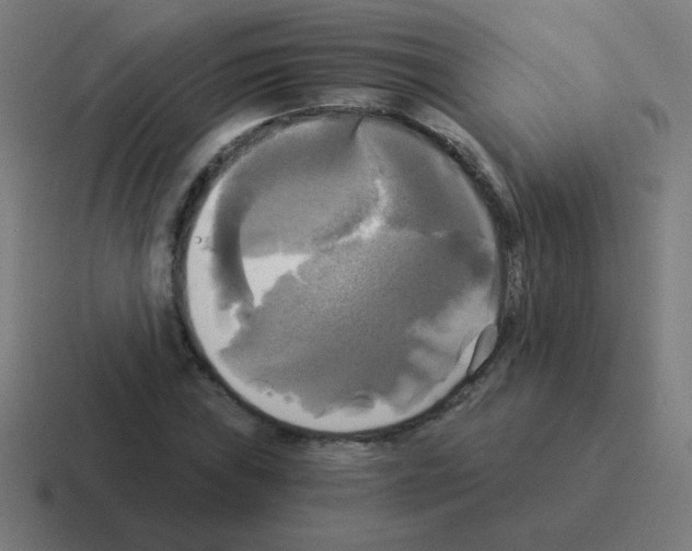 X0000116021019200912312149