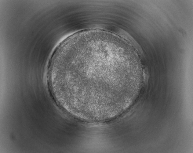 X0000116021020200912312149