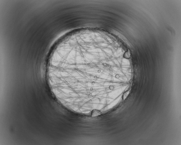 X0000116021021200912312149