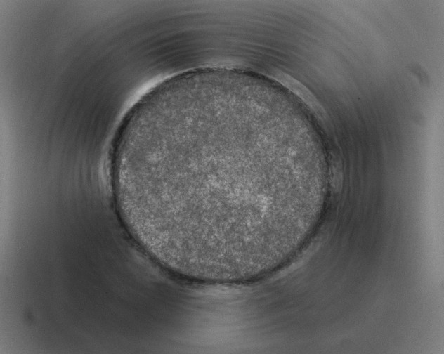 X0000116021022200912312149