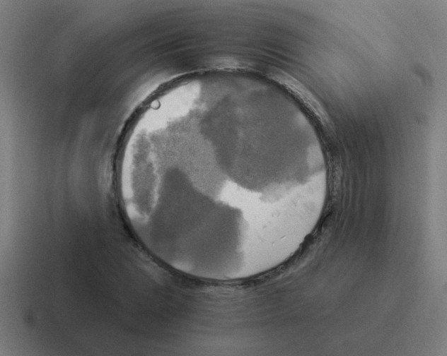 X0000116021023200912312149