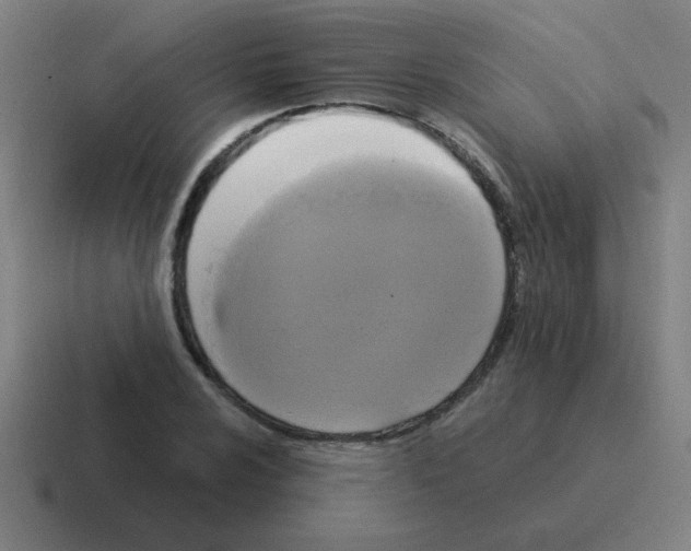 X0000116021024200912312149