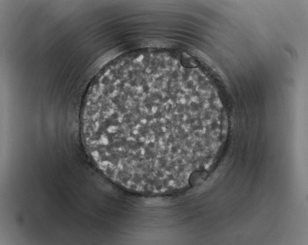 X0000116021025200912312149