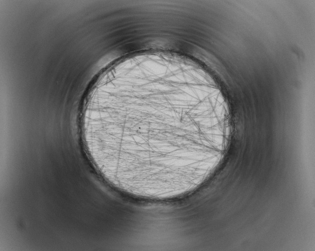 X0000116021026200912312149