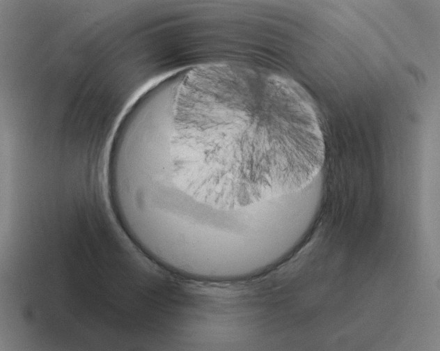 X0000116021028200912312149