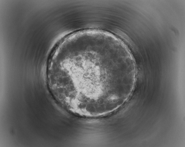 X0000116021030200912312149